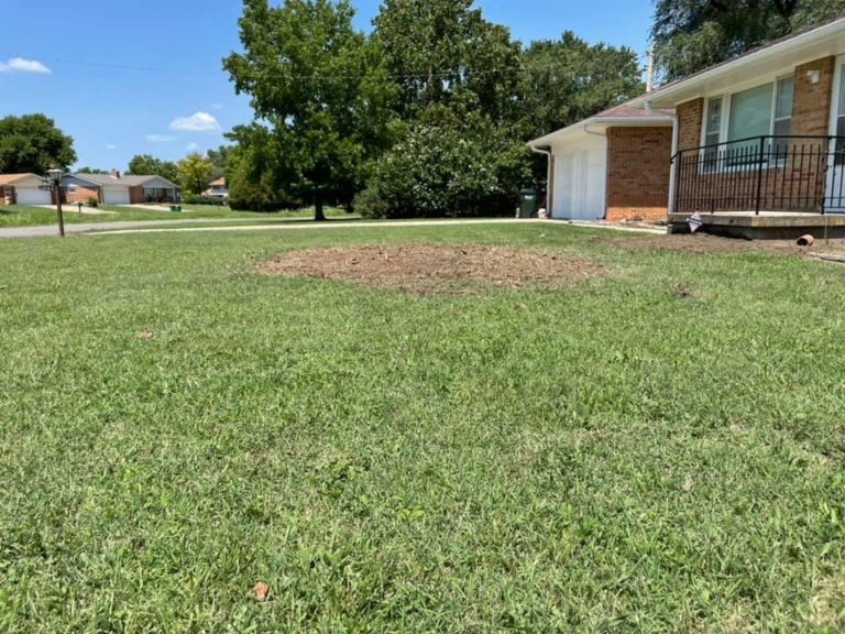 left-over-mulch-removal