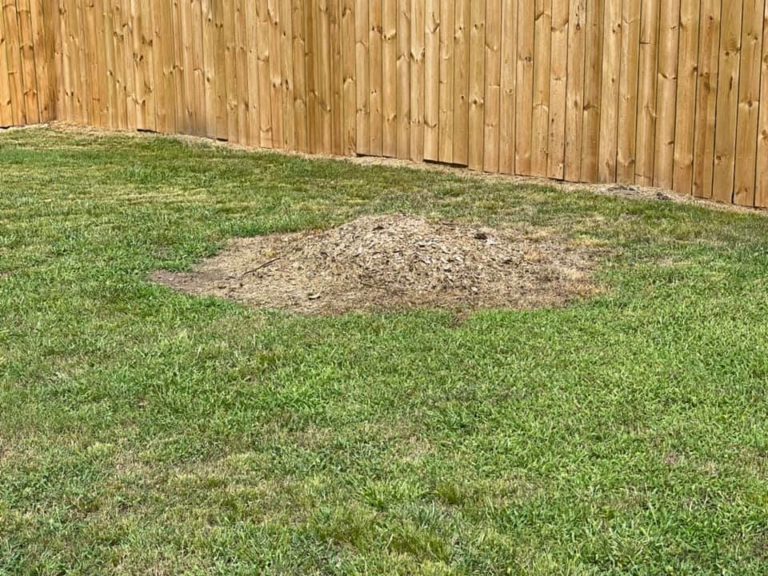 left-over-mulch-removal