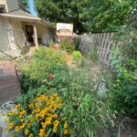 removing-weeds-and-unwanted-plants before