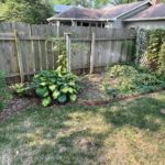 removing-weeds-and-unwanted-plants before