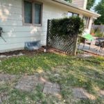 removing-weeds-and-unwanted-plants before