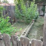 removing-weeds-and-unwanted-plants before